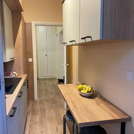 Apartment Grand Equipe Et Renove